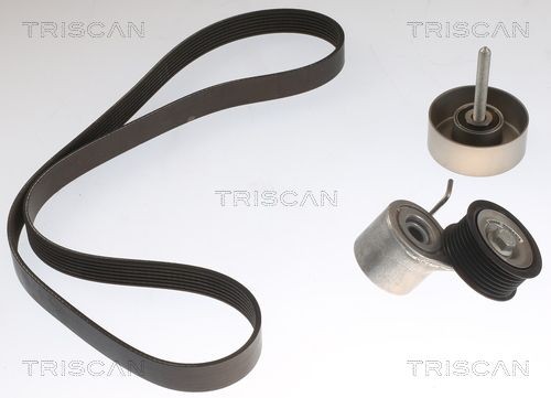 TRISCAN Kit Cinghie Poly-V 8642 10070 8642 10070 costo Kit cinghie poly-v HONDA CRX TRISCAN