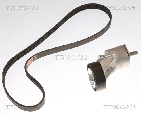 TRISCAN Jogo de correias trapezoidais estriadas 8642 10071 Jogo de correias trapezoidais estriadas TRISCAN Land Rover FREELANDER 8642 10071