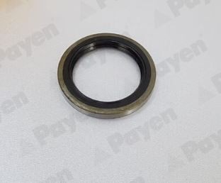 PAYEN Tesniaci krúżok hriadeľa náboja kolesa NJ474 Tesniaci krúżok hriadeľa náboja kolesa PAYEN Fiat SCUDO NJ474