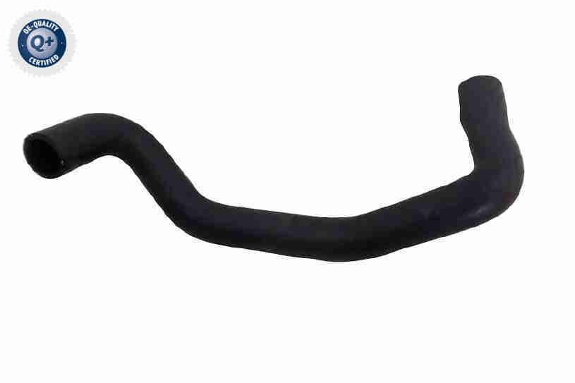 VAICO Radiator hose V25-2583 VAICO V25-2583 FORD Focus Mk1 Box Body / Estate (DNW) coolant hoses replacement