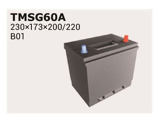 IPSA Autobatéria TMSG65A TMSG65A Żtartovacia batéria MITSUBISHI GRANDIS IPSA