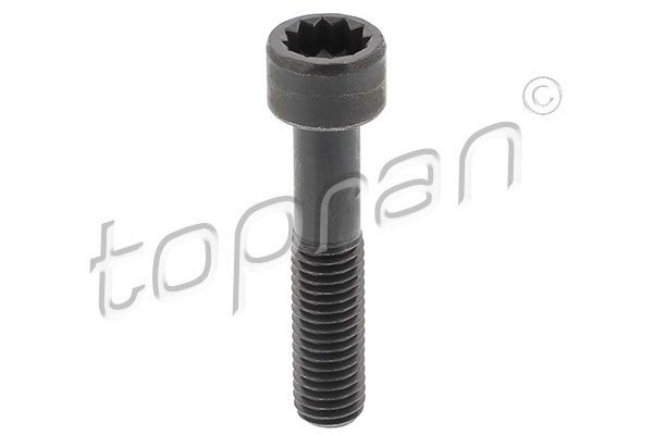 TOPRAN Bullone, Flangia albero cardanico 120 024 120 024 Bullone, flangia albero cardanico TOPRAN VOLVO S80 costo