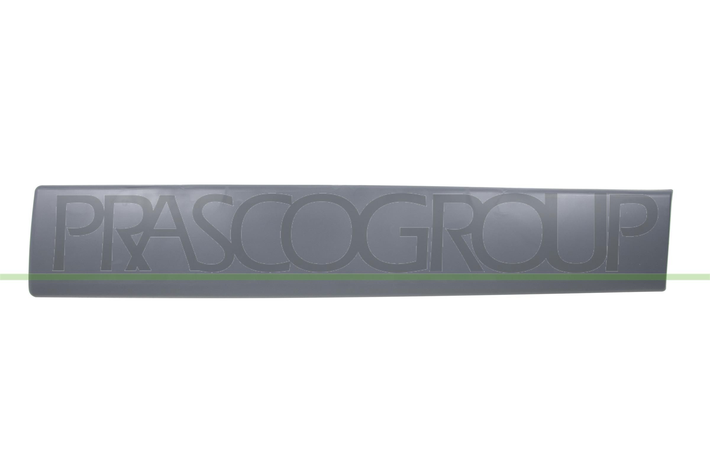 PRASCO Apdare- / Aizsarguzlika, Durvis DS9521454 DS9521454 Apdare aizsarguzlika durvis NISSAN TERRANO PRASCO