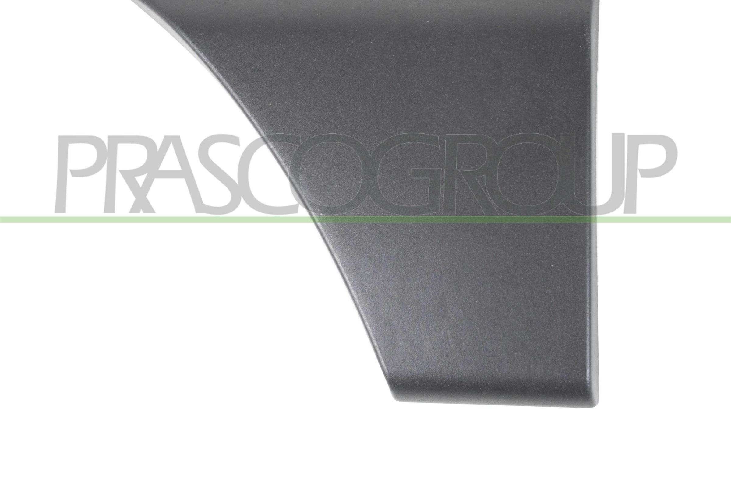PRASCO Ehis- / kaitseliist, Uks OP9541463 OP9541463 PRASCO Tagaukse liist ja esiukse liist Subaru odav