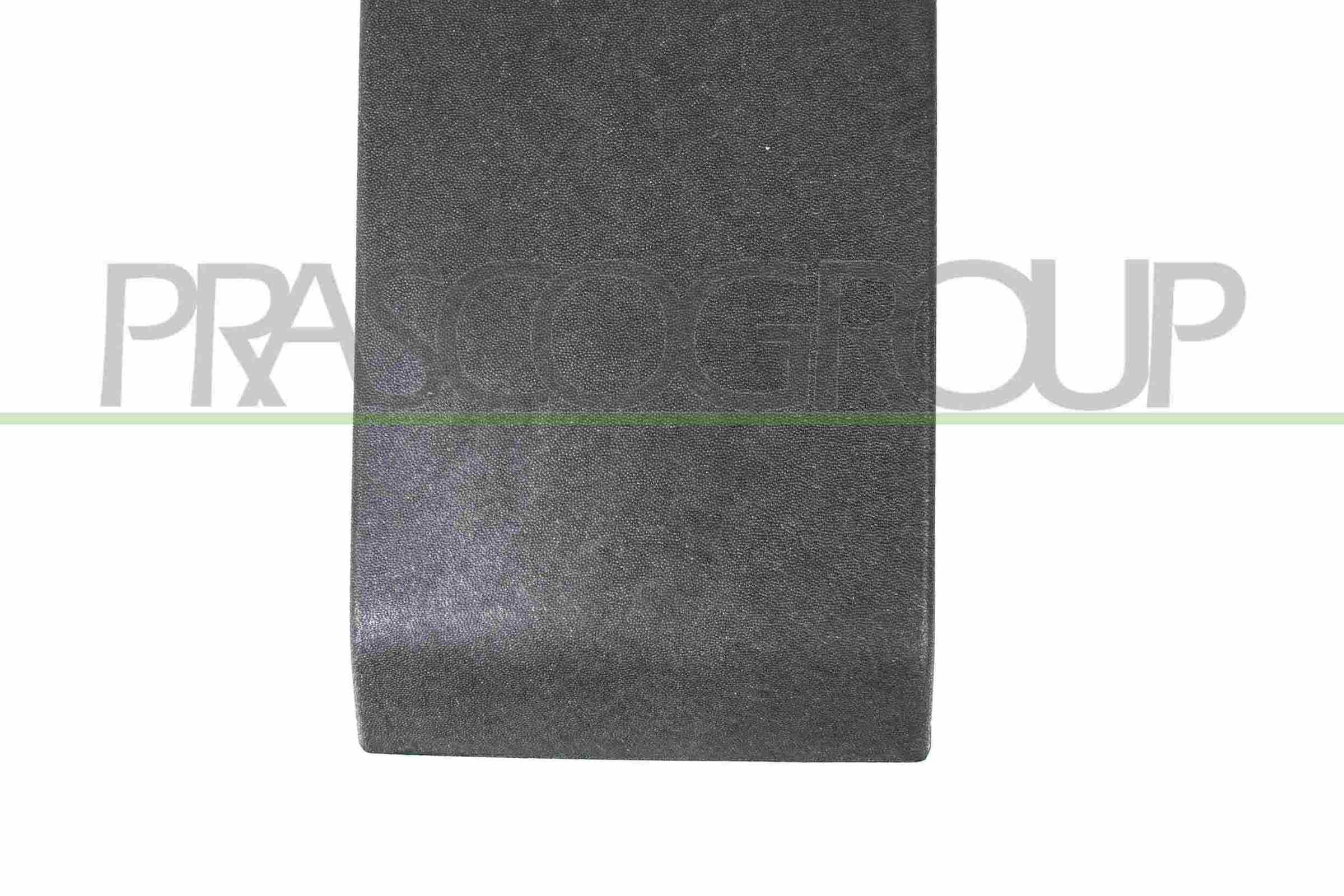 PRASCO Ehis- / kaitseliist, külg RN9541415 Ukseliistud PRASCO Skoda FABIA RN9541415