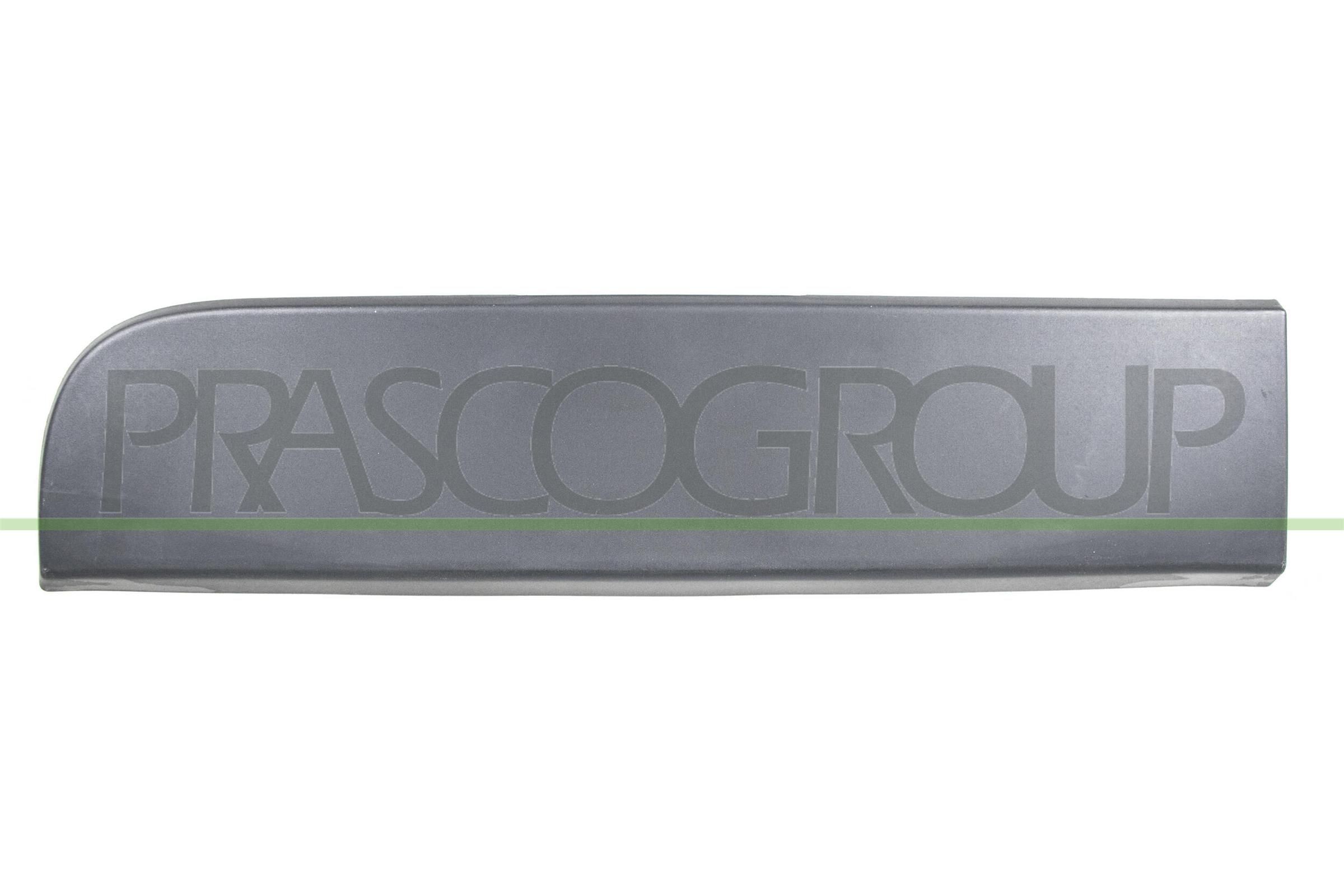 PRASCO Sier- / beschermingspaneel, deur RN9541457 RN9541457 Sierlijst RENAULT MODUS PRASCO