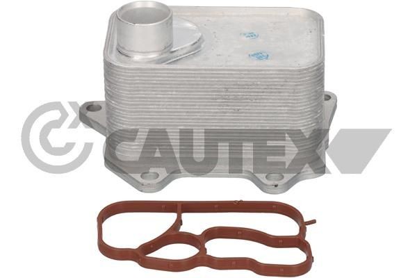 CAUTEX Chladič motorového oleja 768822 768822 Olejový chladič Volkswagen PASSAT CAUTEX