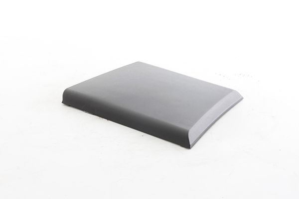 BSG Trim / Protective Strip, sidewall BSG 25-922-013 BSG 25-922-013 BSG body side molding for PEUGEOT