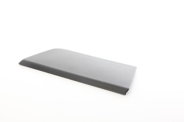 BSG Door molding BSG 25-922-021 BSG 25-922-021 BSG PEUGEOT door protector