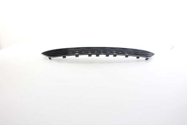 BSG Πλέγμα εξαερισμού, προφυλακτήρας BSG 25-922-026 BSG 25-922-026 BSG Πλέγμα εξαερισμού, προφυλακτήρας Hyundai φθηνά