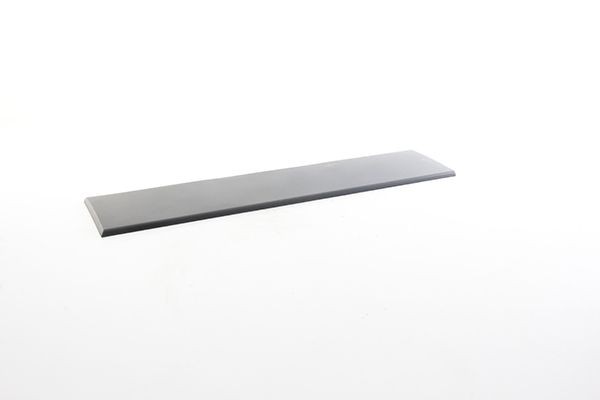BSG Door molding BSG 25-922-030 BSG 25-922-030 BSG door molding PEUGEOT