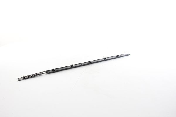 BSG Ozdobná / ochranná liżta dverí BSG 75-924-017 BSG 75-924-017 Ozdobná ochranná liżta dverí RENAULT CLIO BSG