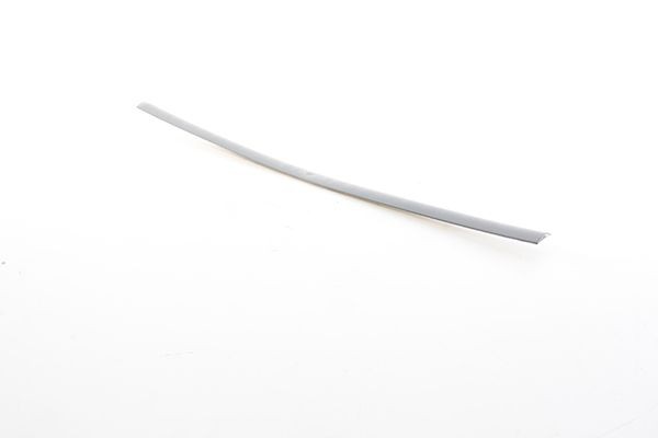 BSG Pynte- / beskyttelseslist, skvettskjerm BSG 90-924-060 BSG 90-924-060 Dørlister VW PASSAT BSG