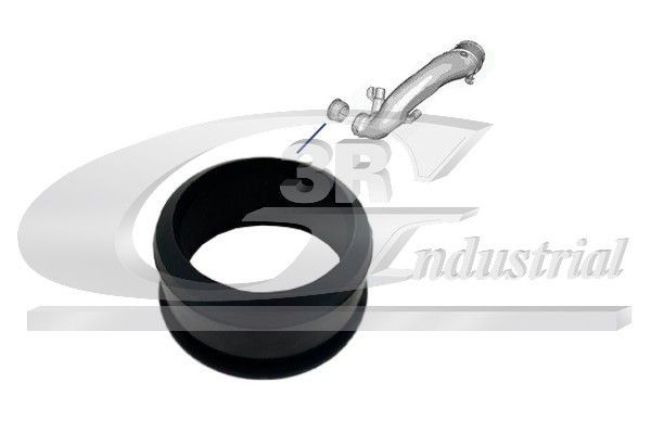 3RG Ladeluftschlauch-Dichtung 66200 66200 Dichtring, Ladeluftschlauch RENAULT KANGOO 3RG kaufen