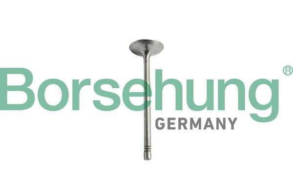 Borsehung Virzuļa gredzenu komplekts B10344 Virzuļu gredzeni Borsehung X Klase B10344 lēti
