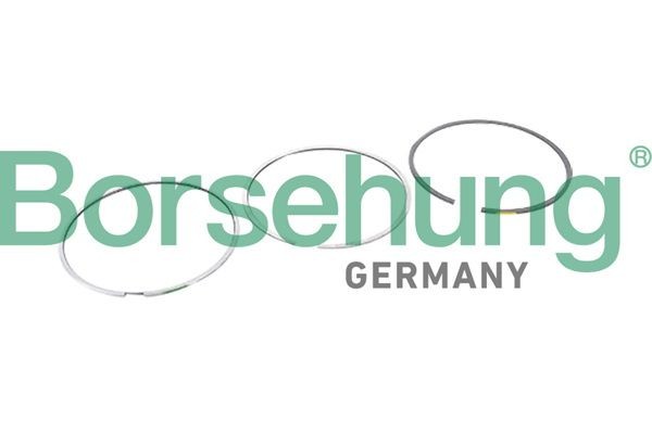 Borsehung Kit fasce elastiche B10364 B10364 costo Fasce elastiche AUDI 200 Borsehung