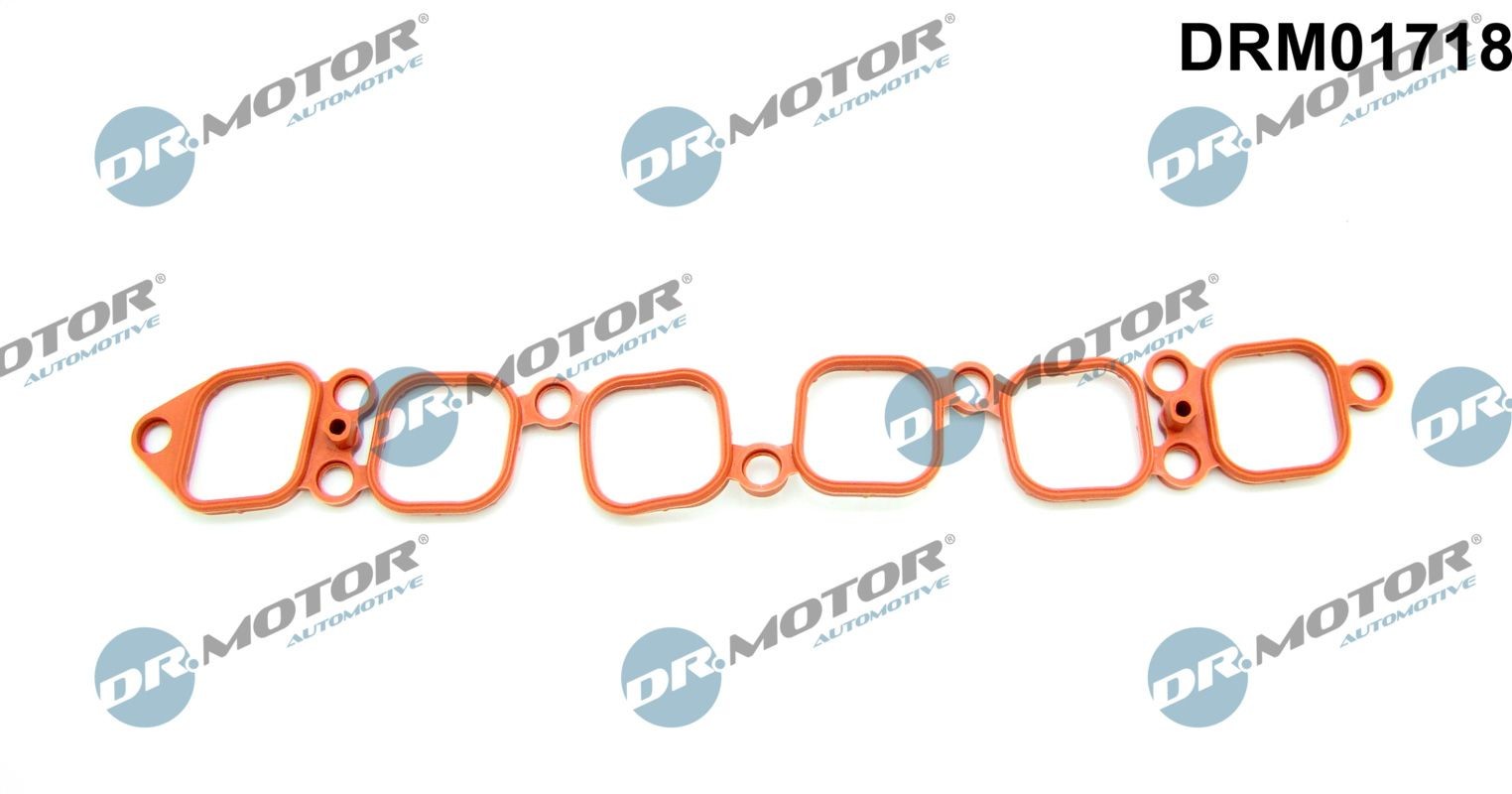 Ansaugkrümmer-Dichtung DR.MOTOR AUTOMOTIVE DRM01718 DR.MOTOR AUTOMOTIVE DRM01718 Ansaugkrümmerdichtung PORSCHE CAYENNE 2007 Kosten
