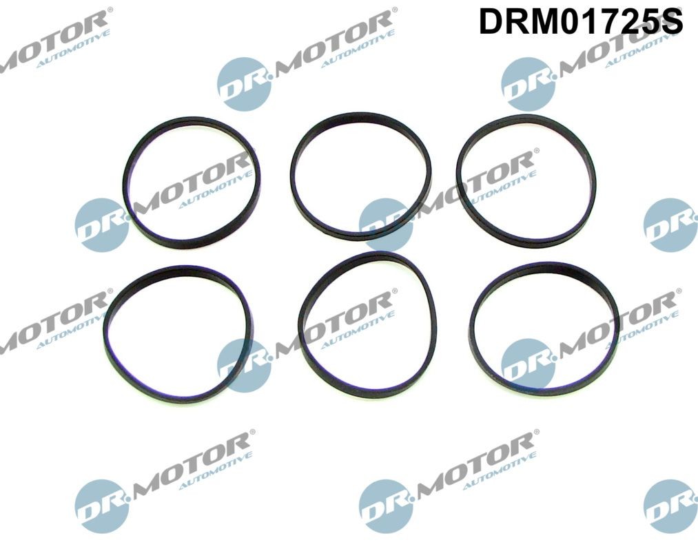DR.MOTOR AUTOMOTIVE Tiivistesarja, imusarja DRM01725S DRM01725S DR.MOTOR AUTOMOTIVE Imusarjan tiivisteet BMW 1-sarja hinta