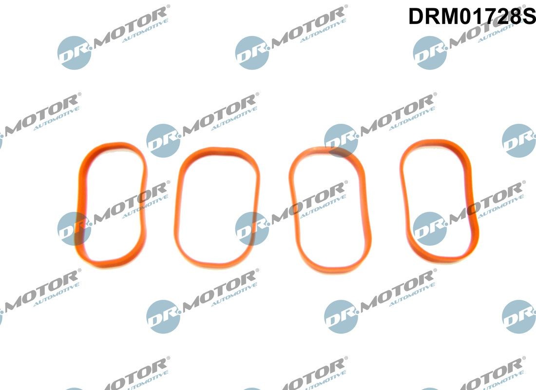 DR.MOTOR AUTOMOTIVE Σετ στεγανοποίησης, πολλαπλή εισαγωγής DRM01728S DR.MOTOR AUTOMOTIVE DRM01728S Τσιμουχα πολλαπλής εισαγωγής BMW Z4 E89 τιμες