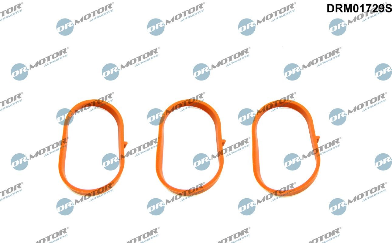DR.MOTOR AUTOMOTIVE Pakningssæt, indsugningsmanifold DRM01729S Indsugningsmanifold pakning DR.MOTOR AUTOMOTIVE E-klasse DRM01729S billig