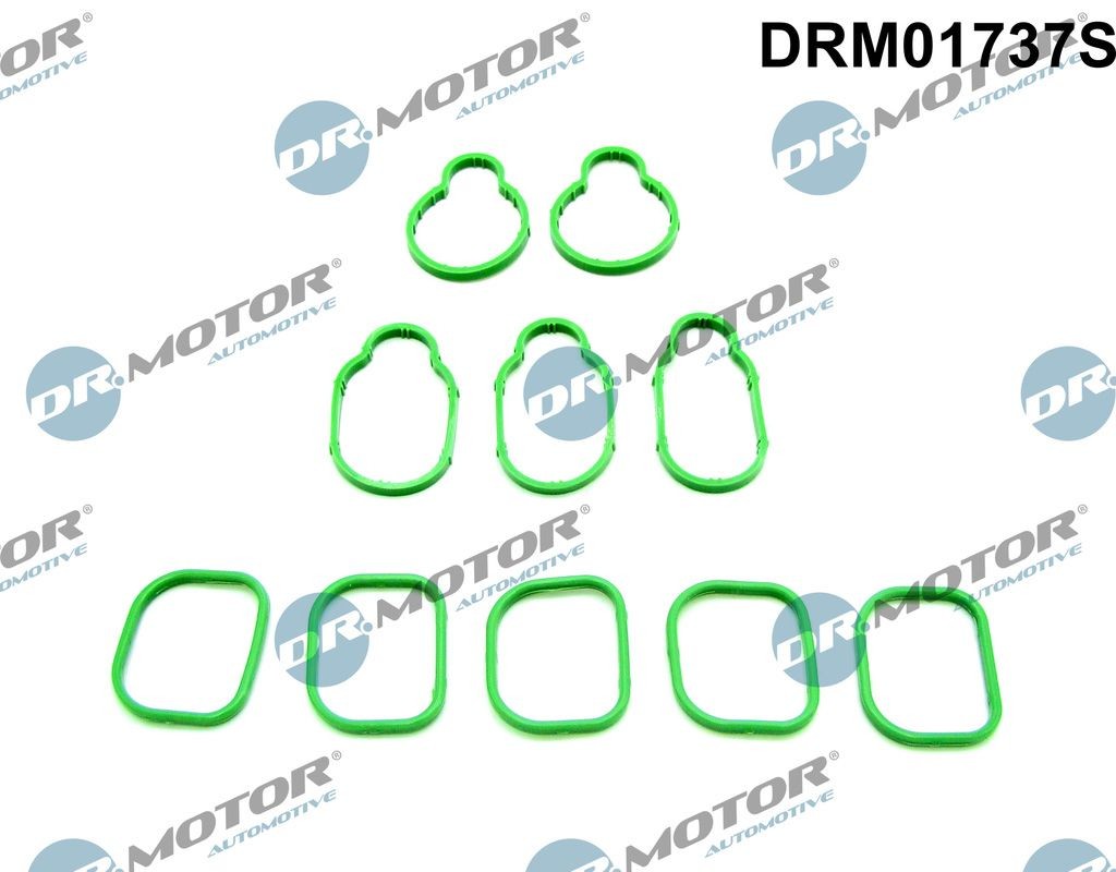 DR.MOTOR AUTOMOTIVE Pakningssæt, indsugningsmanifold DRM01737S Indsugningsmanifold pakning DR.MOTOR AUTOMOTIVE Mii DRM01737S billig