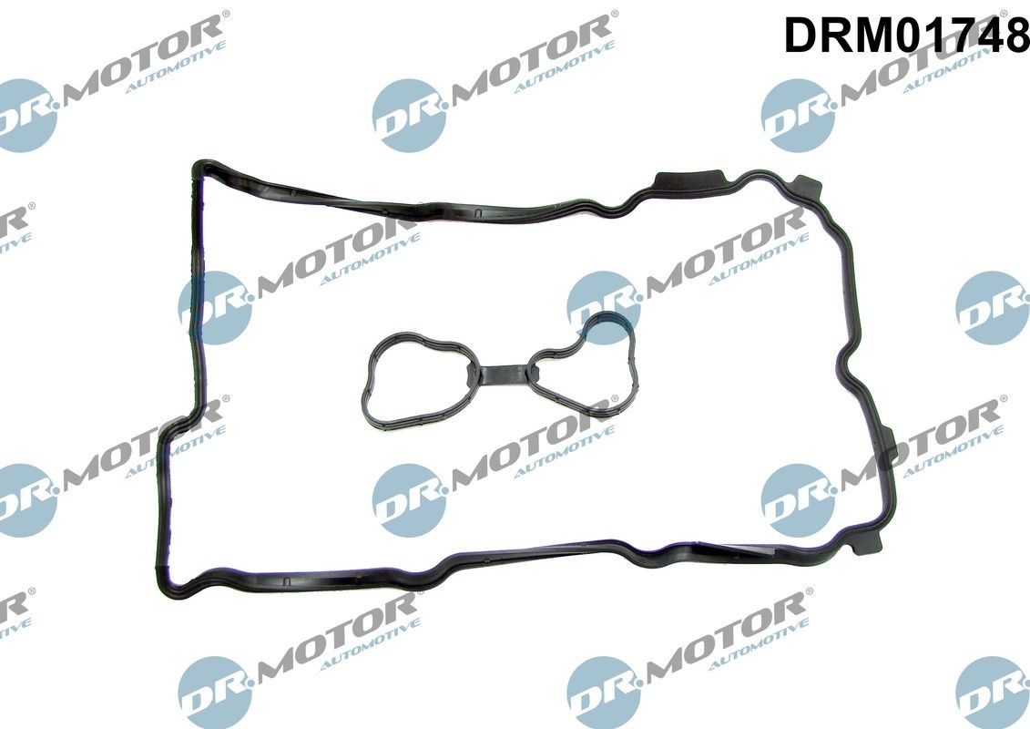DR.MOTOR AUTOMOTIVE Pakning, Ventildæksel DRM01748 Ventildækselpakning DR.MOTOR AUTOMOTIVE Renault LAGUNA DRM01748