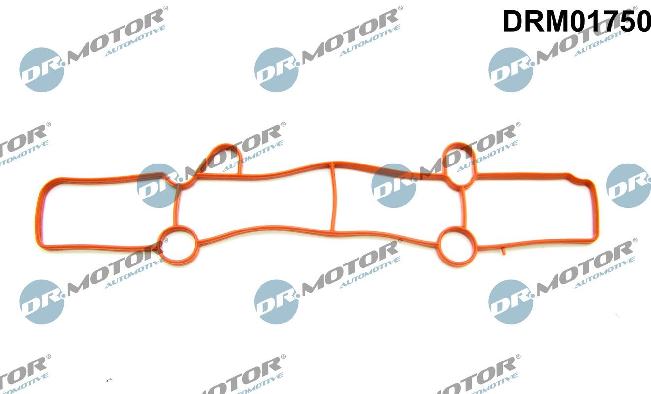 Τσιμούχα, πολλαπλή εισαγωγής DR.MOTOR AUTOMOTIVE DRM01750 DR.MOTOR AUTOMOTIVE DRM01750 Τσιμουχα πολλαπλής εισαγωγής FORD GALAXY 2020