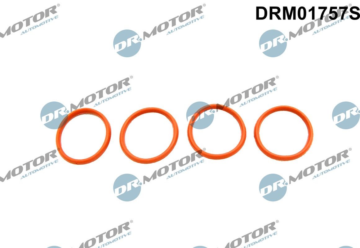 DR.MOTOR AUTOMOTIVE Blīvju komplekts, Ieplūdes kolektors DRM01757S DR.MOTOR AUTOMOTIVE DRM01757S Ieplūdes kolektora blīve Peugeot 206+ orģinālās cena
