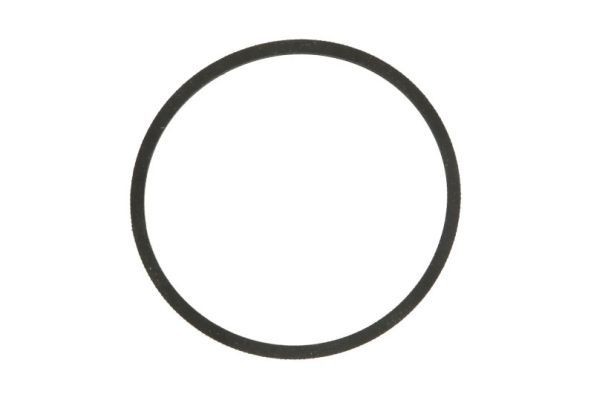 ENGITECH Packning, bränslepump ENT010998 ENT010998 ENGITECH packning, bränslepump MERCEDES-BENZ G-klass