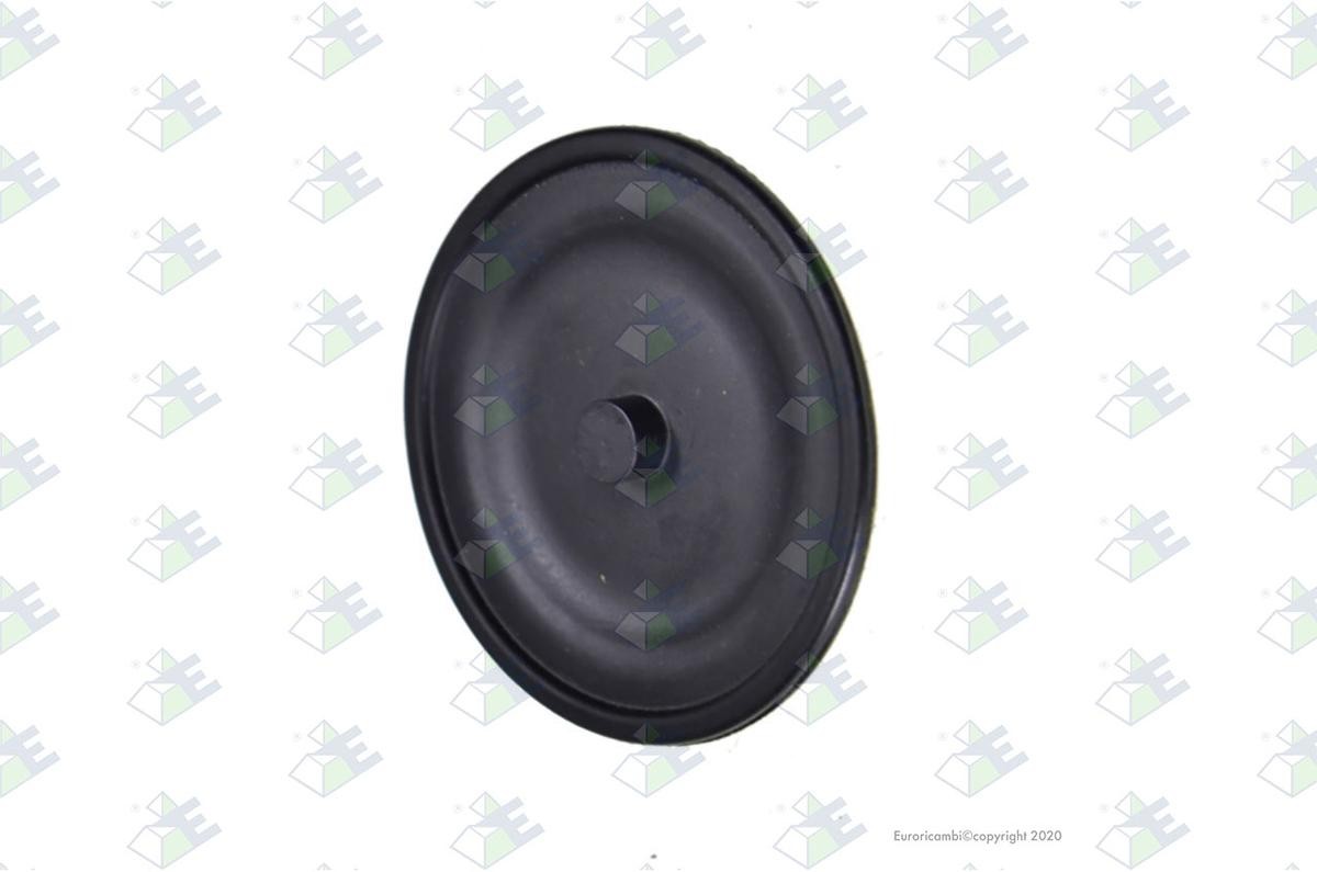 Euroricambi Junta, diferencial 88170863 88170863 Retentor, diferencial NISSAN ALMERA Euroricambi