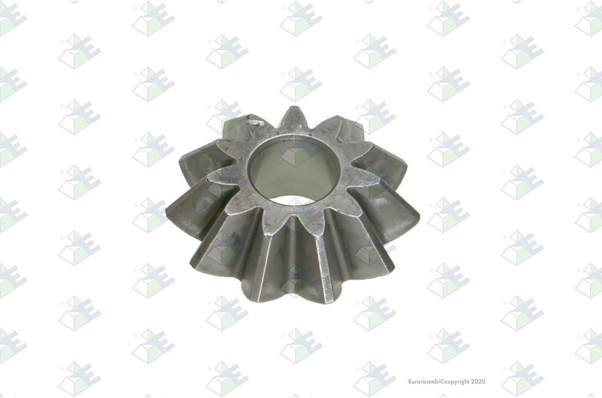 Euroricambi Satellite, différentiel 60170102 Euroricambi 60170102 Satellite, différentiel