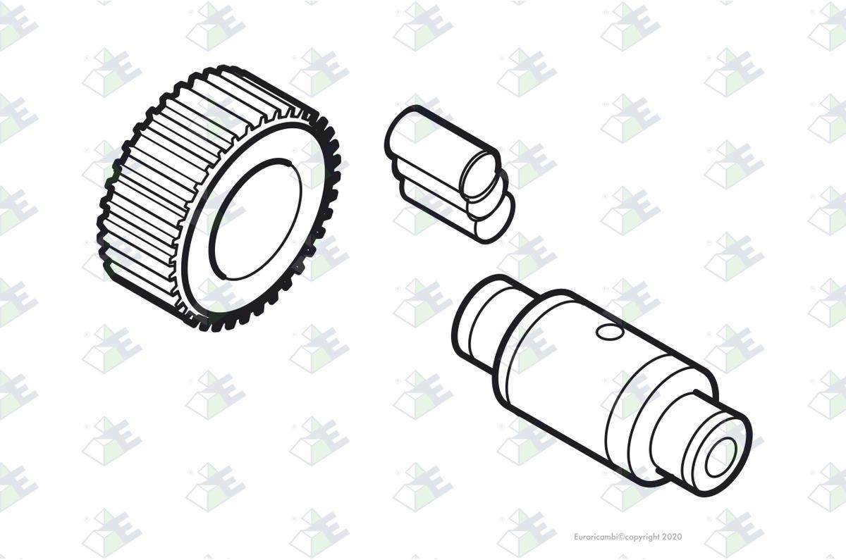Euroricambi Repair Kit, differential 56170075 MERCEDES-BENZ 123-Series Euroricambi repair kit, differential 56170075