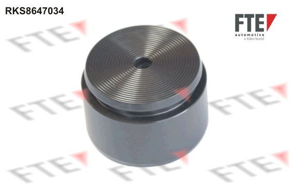FTE Stempel, bremsecaliper 9310005 Stempel bremseklave FTE Lexus RC 9310005
