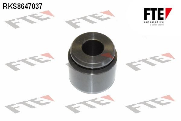 FTE Stempel, bremsecaliper 9310010 Stempel bremsecaliper FTE Lexus RC 9310010