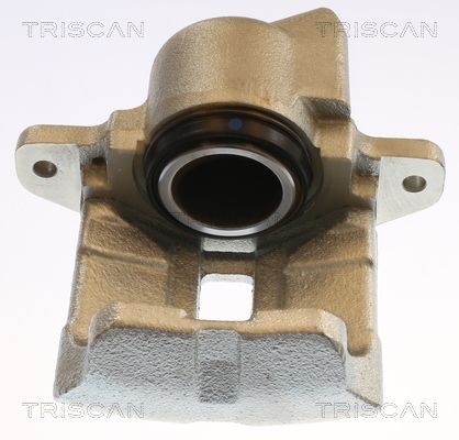TRISCAN Δαγκάνα φρένων 8175 25102 8175 25102 Δαγκάνα φρένων DACIA DUSTER TRISCAN