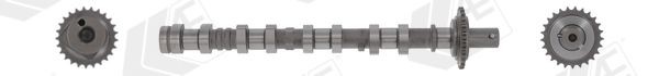 AE Camshaft CAM1041 AE CAM1041 Kia Picanto Mk2 camshaft kit replacement