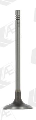 AE Inlaatklep V95254 AE V95254 originele Inlaatklep Mini Clubman F54 kosten