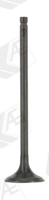 AE Soupape d'échappement V95271 AE V95271 d'origine Soupape d'echappement RENAULT Megane 4 Grandtour coût
