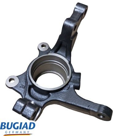 BUGIAD Fuseestuk BSP25581 BUGIAD BSP25581 Fuseestuk Hyundai Terracan HP aan een voordelige prijs