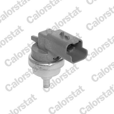 CALORSTAT by Vernet Kühlmitteltemperatursensor WS3186 CALORSTAT by Vernet WS3186 PEUGEOT 3008 II SUV (M_) Sonde