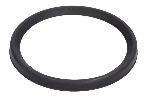 THERMOTEC Στεγανοποιητικός δακτύλιος, ελαστικός σωλήνας αέρα υπερπλήρ. DCC079TT Σωλήνες / σωλήνας Renault Scénic 3: Στεγανοποιητικός δακτύλιος, ελαστικός σωλήνας αέρα υπερπλήρ. THERMOTEC DCC079TT
