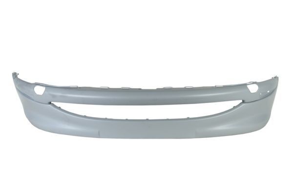 BLIC Støtfanger 5510-00-5507901Q BLIC 5510-00-5507901Q Støtfanger