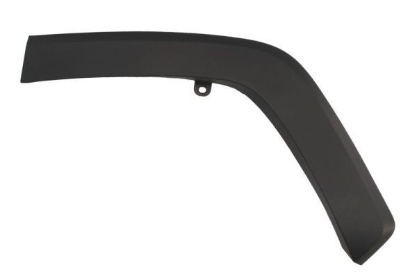 BLIC Modanatura decorativa / protettiva, Parafango 5703-04-8186593P 5703-04-8186593P costo Allargamenti parafanghi TOYOTA RAV 4 BLIC