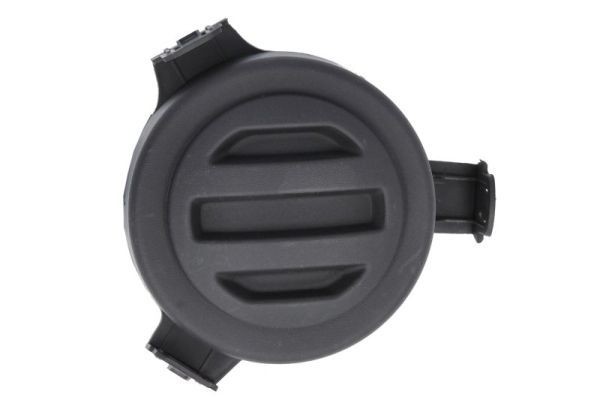 Ventilationsgaller, stötfångare BLIC 6502-07-2098916P BLIC 6502-07-2098916P Galler, stötfångare FIAT DUCATO 2002