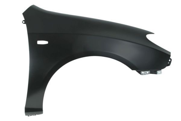 Hjulskjerm BLIC 6504-04-3155316P BLIC 6504-04-3155316P Forskjerm og bakskjerm HYUNDAI ACCENT 2004