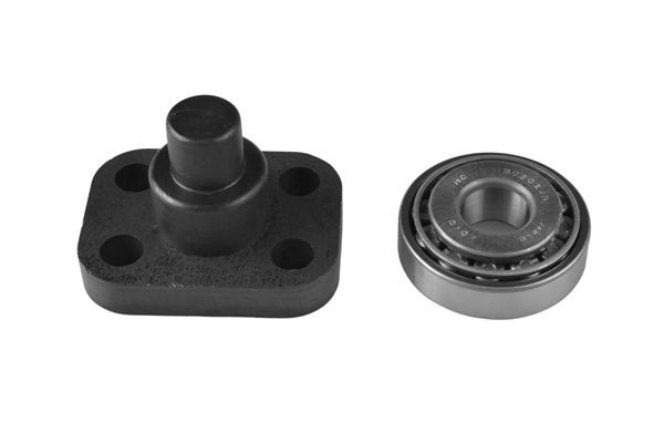 TEDGUM Reparationssats, styrspindel TED52917 TED52917 TEDGUM spindelbultar TOYOTA TUNDRA