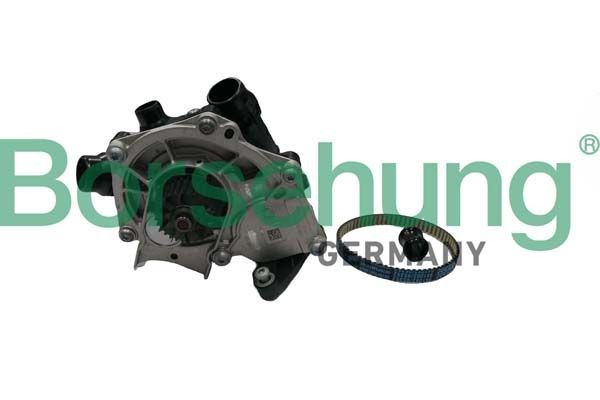 Borsehung Veepump B11210 B11210 Veepump Borsehung KIA SPORTAGE
