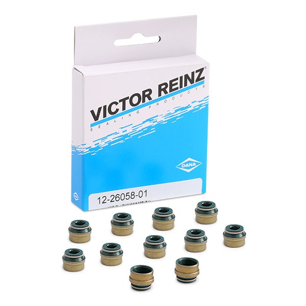 REINZ Tiivistesarja, venttiilivarsi 12-26058-01 REINZ 12-26058-01 CITROЁN DS3 venttiilinvarren kumit