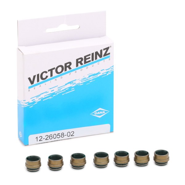 REINZ Pakningssett, ventilstamme 12-26058-02 REINZ 12-26058-02 Ventiltetninger Movano C Van (U9) originale pris