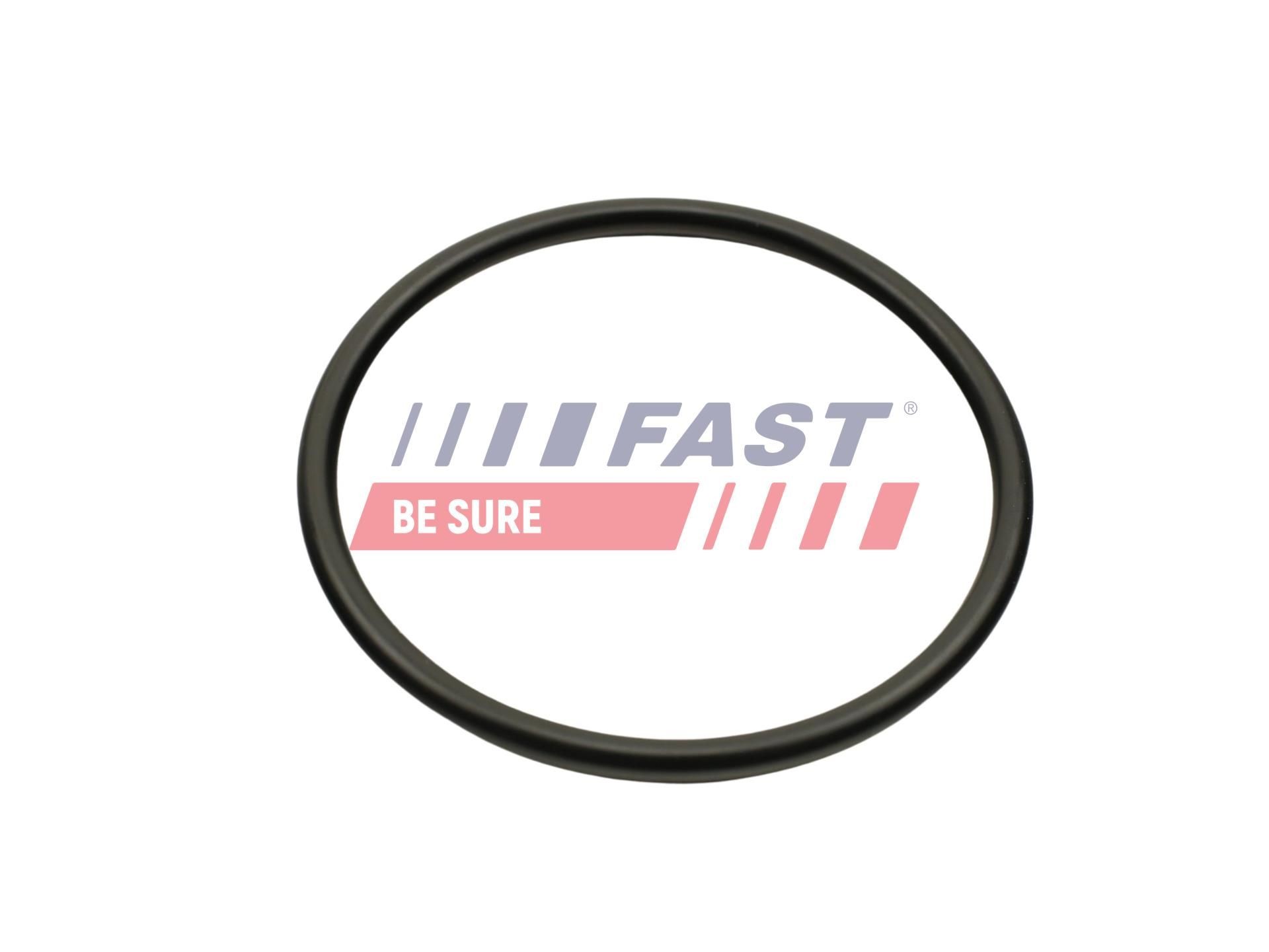 FAST Tetning, innsugningsmanifold FT49460 Innsugspakning FAST FOCUS FT49460 billige